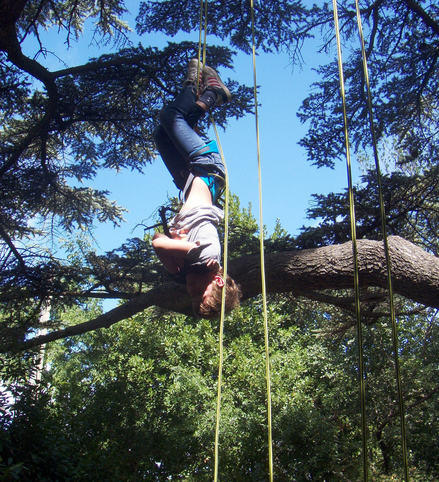 Stage danse dans les arbres 3j - 8/12 ans - 34 Montpellier
