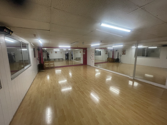 Stage danse sur les musiques du moment 5j - 7/12 ans - 78 Trappes