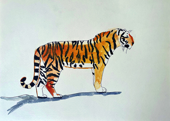 Stage de Dessin - 11/15 ans - Marseille 6è