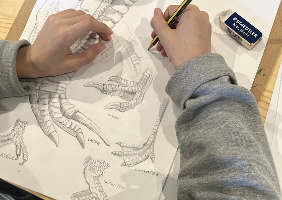 Stage de Dessin - 11/15 ans - Marseille 6è