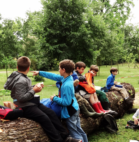 Stage découverte nature Toussaint 7/15 ans - 92 Levallois