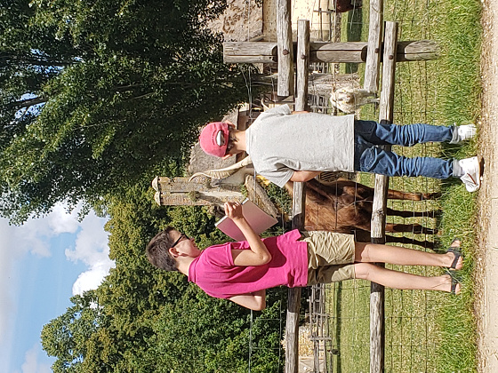 Stage dessin et peinture 3hx3j - 8/17 ans - Versailles 78