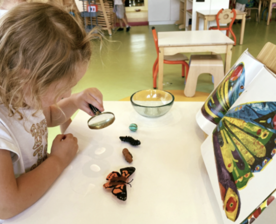Stage holiday camps Multi activités 5j - 3/11 ans - Nogent-sur-Marne 94