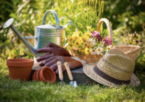 Stage les P’tits Jardiniers Créatifs - 7/14 ans - Darcey