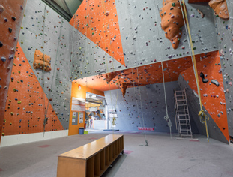 Stage Mur d’escalade - 5x2h- 6/12 ans - Avignon 84