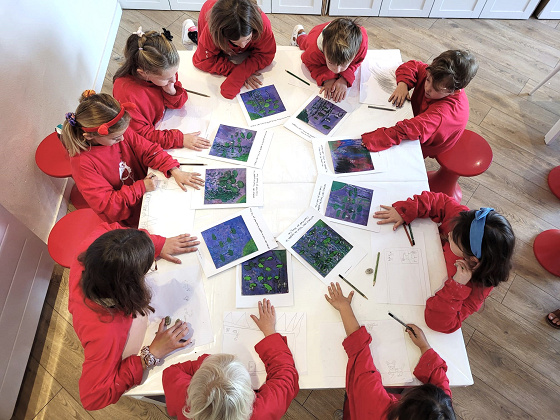 Stage peinture et modelage 3hX3j - 4/14 ans - Mulhouse 68