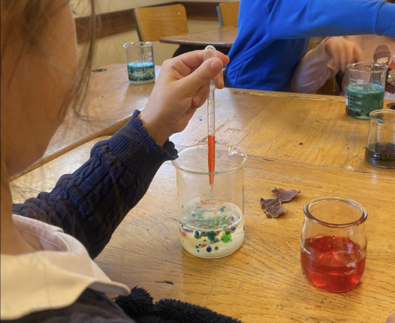 Stage scientifique 5j - 6/12 ans - Le Chesnay/Rocquencourt 78